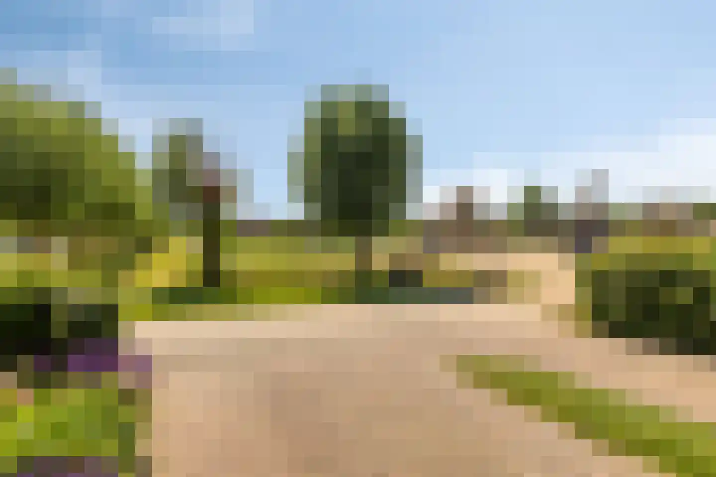 Buitenhof de Leistert 90 Roggel thumbnail 37
