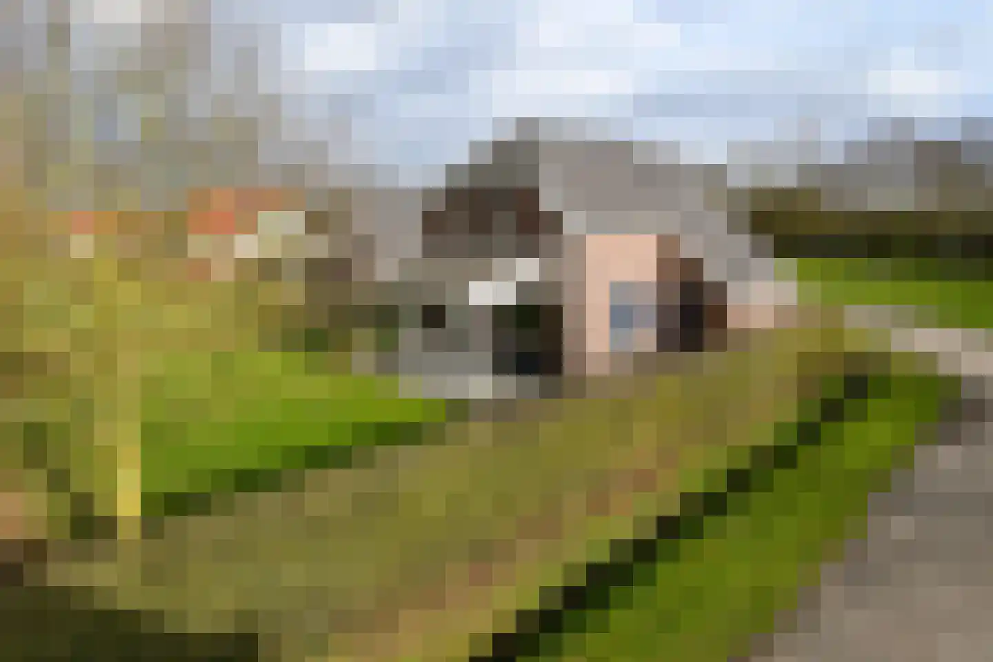 Buitenhof de Leistert 99 Roggel thumbnail 24
