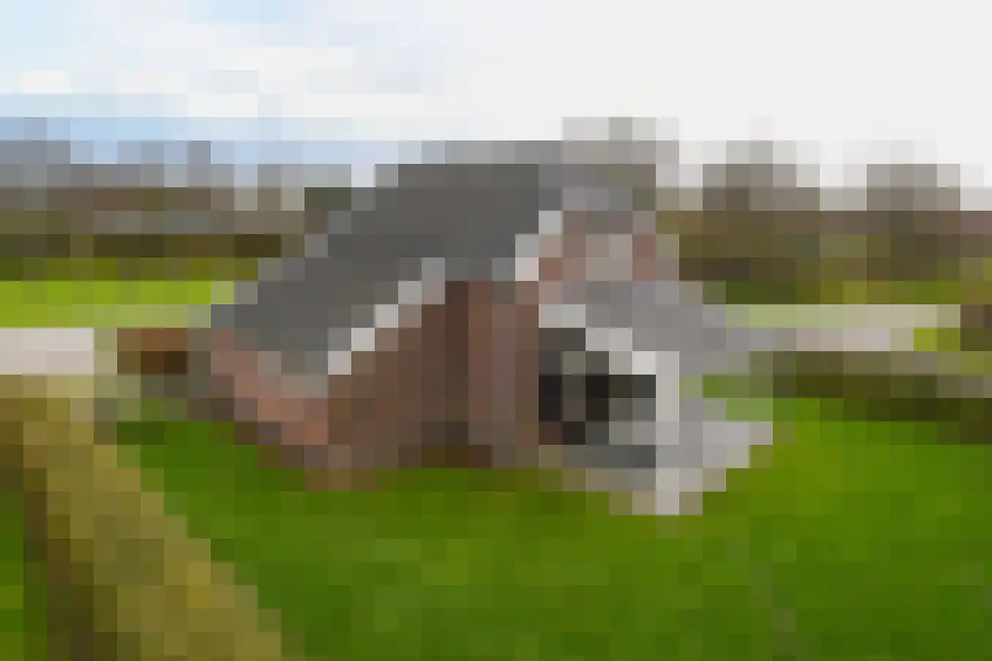 Buitenhof de Leistert 99 Roggel thumbnail 25