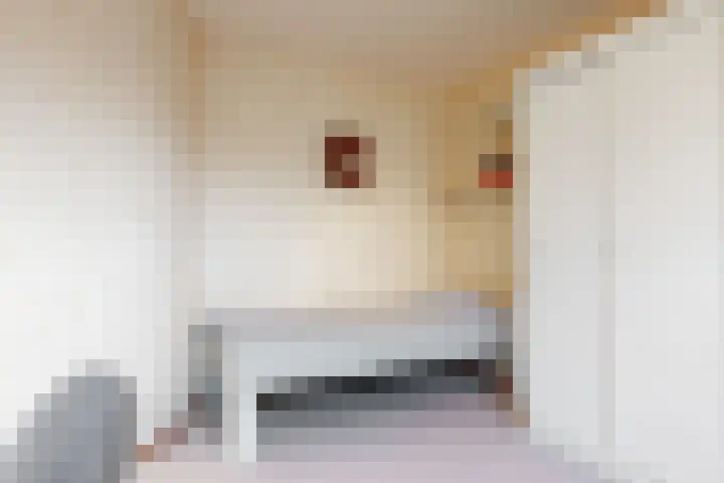 Buitenhoflaan 19 Leiderdorp thumbnail 20