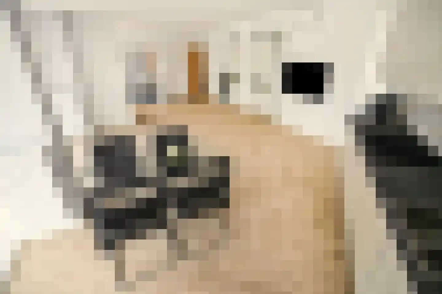 Buitenhoflaan 3 Leiderdorp thumbnail 11