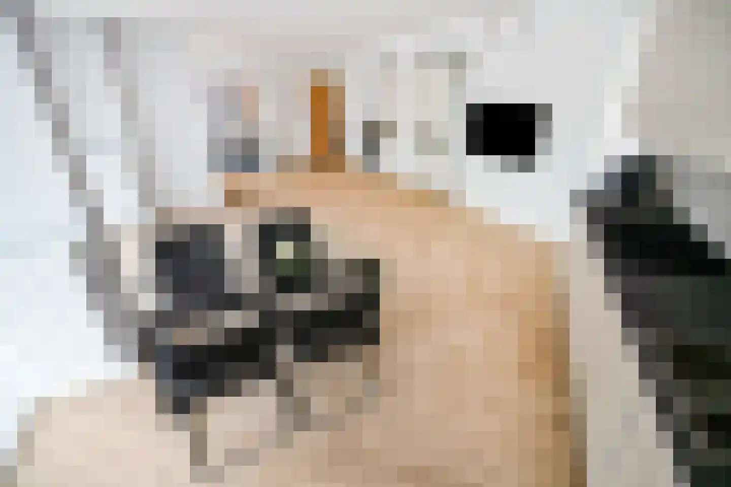 Buitenhoflaan 3 Leiderdorp thumbnail 12