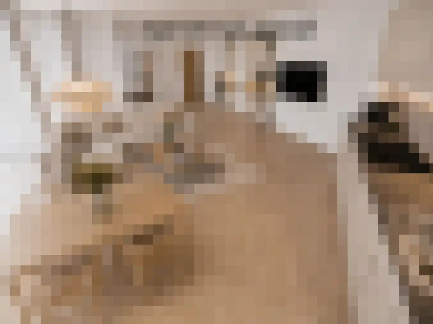 Buitenhoflaan 3 Leiderdorp thumbnail 12