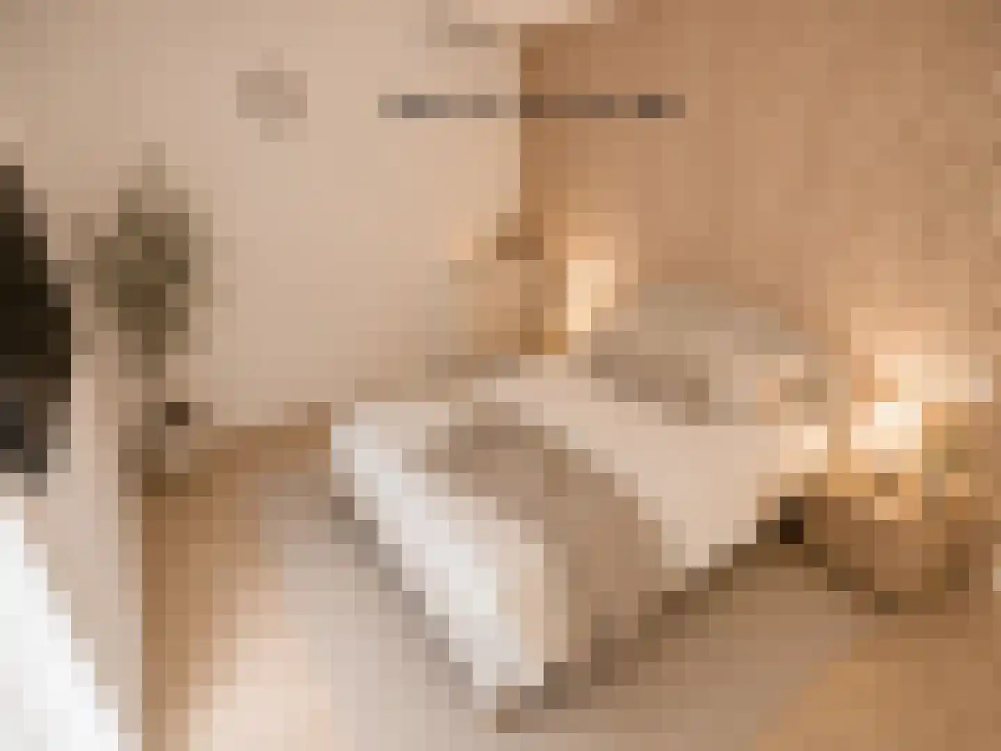 Buitenhoflaan 3 Leiderdorp thumbnail 14
