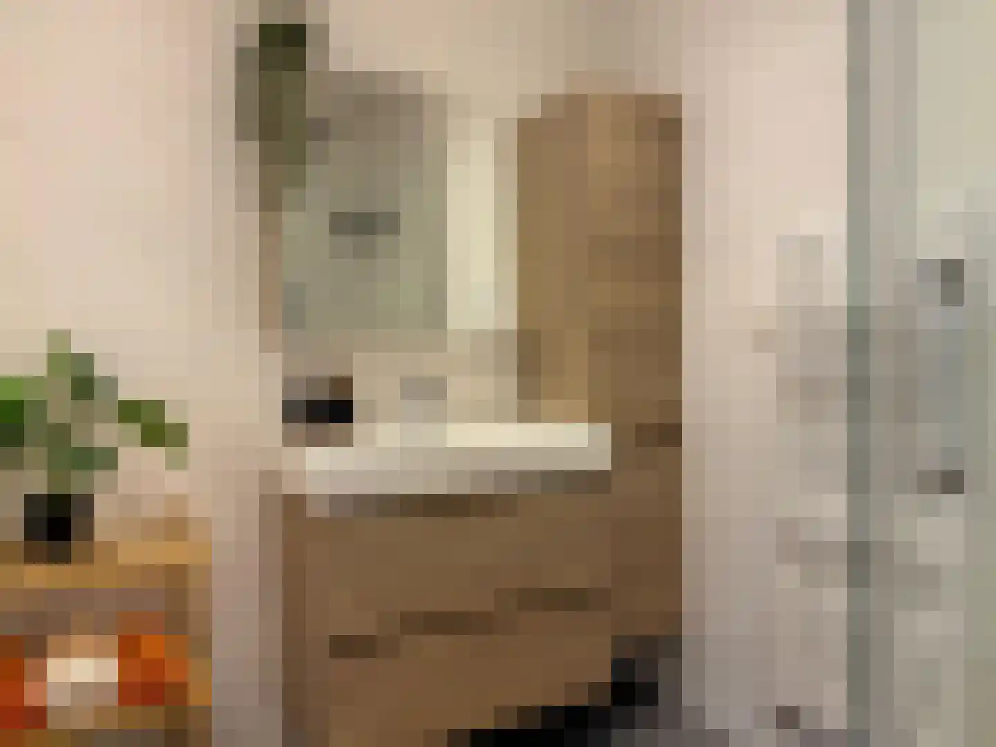 Buitenhoflaan 3 Leiderdorp thumbnail 17