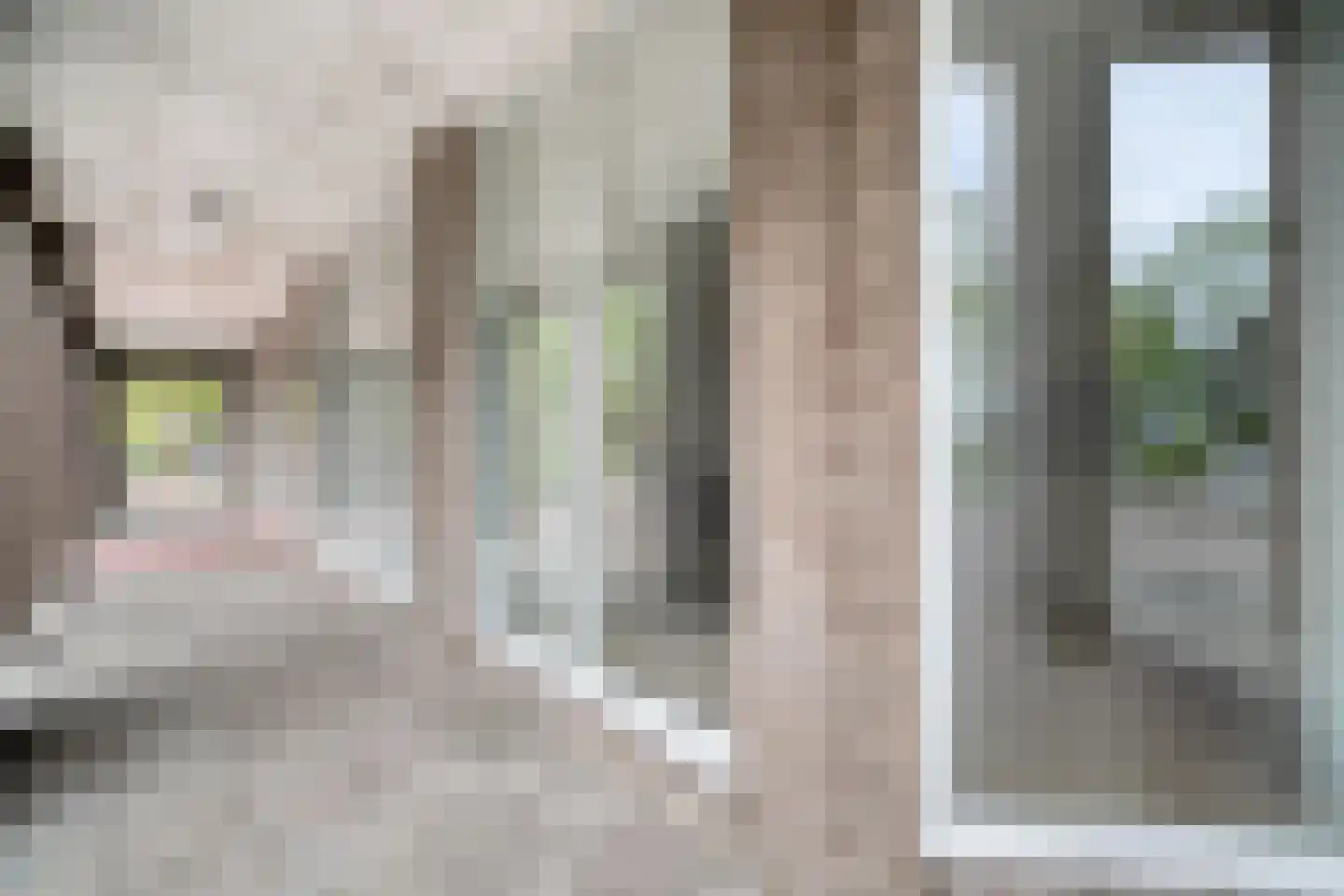 Buitenhoflaan 3 Leiderdorp thumbnail 29