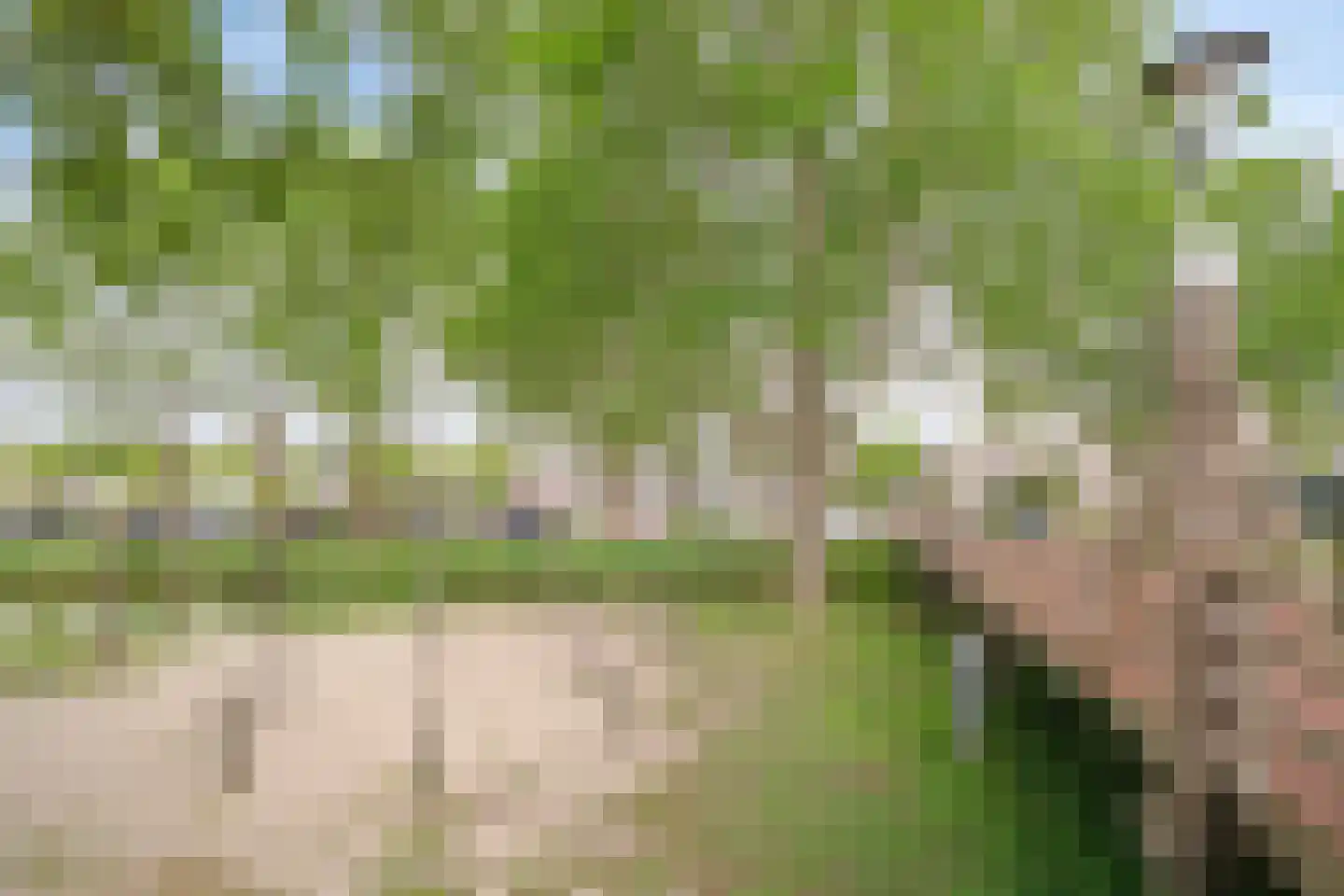Buitenhoflaan 3 Leiderdorp thumbnail 31