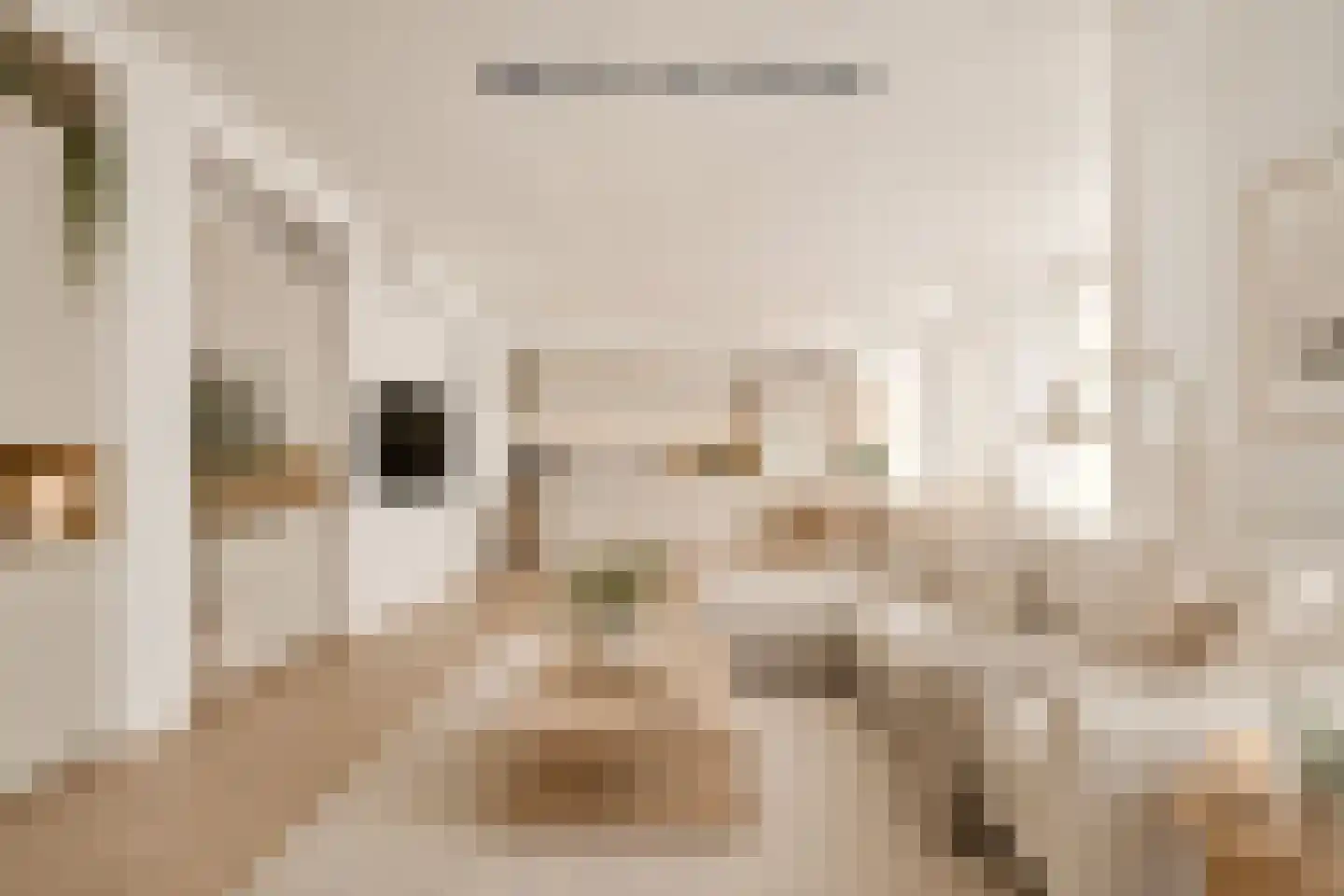 Buitenhoflaan 3 Leiderdorp thumbnail 6