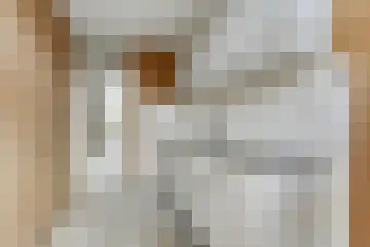Buitenhofstraat 48 Rotterdam thumbnail 9