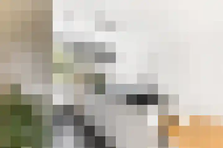 Buitenhovelaan 233 Middelburg thumbnail 10