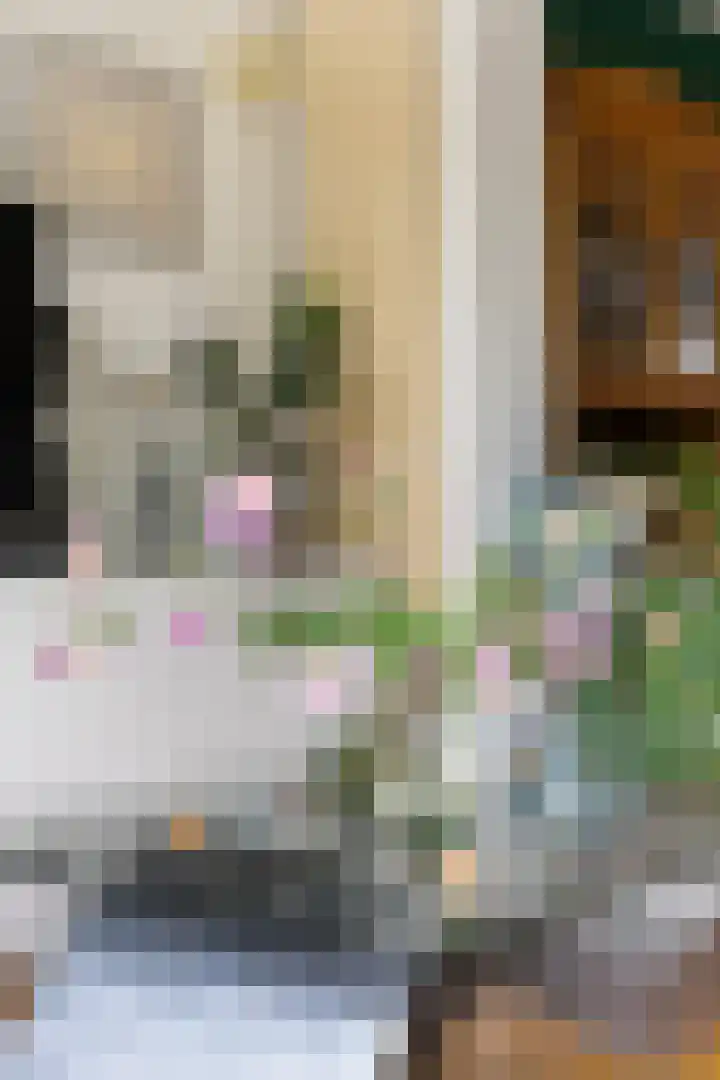 Buitenhovelaan 233 Middelburg thumbnail 18
