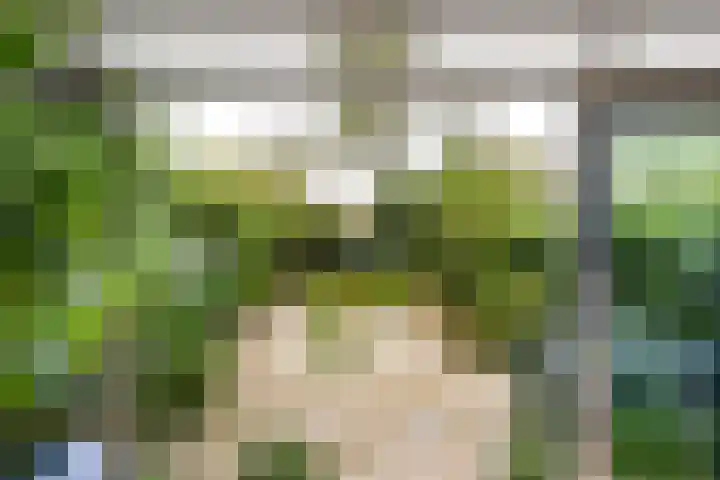 Buitenhovelaan 233 Middelburg thumbnail 20