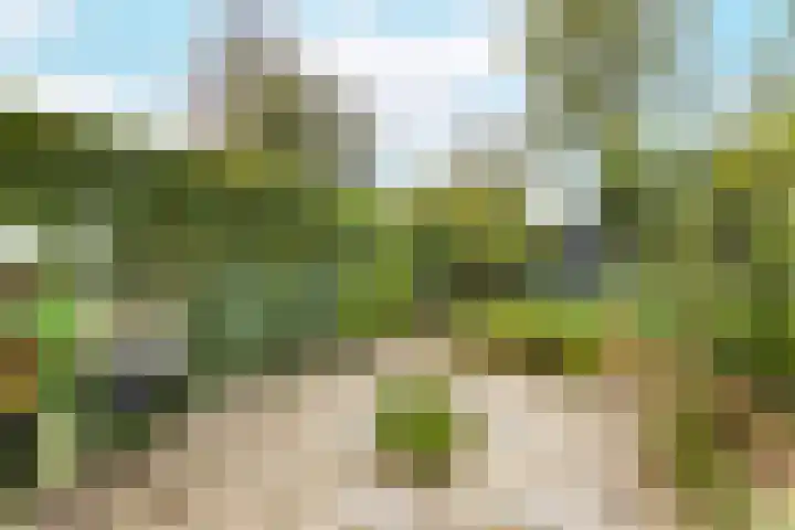 Buitenhovelaan 233 Middelburg thumbnail 22