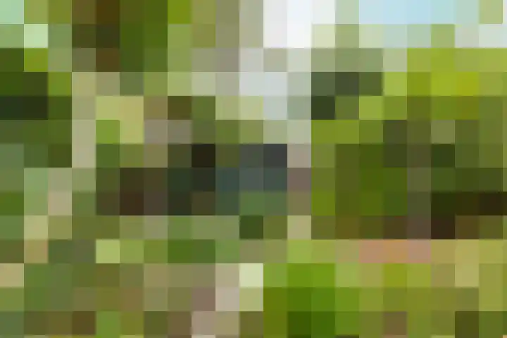 Buitenhovelaan 233 Middelburg thumbnail 23