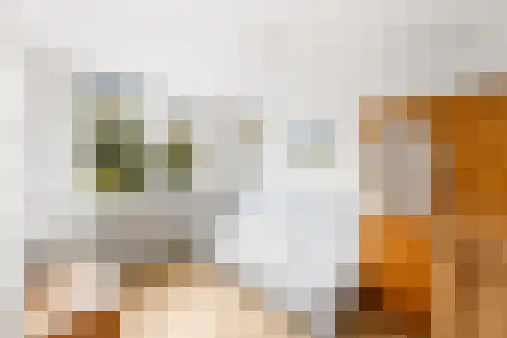 Buitenhovelaan 233 Middelburg thumbnail 26