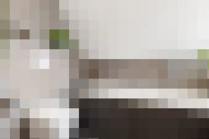 Buitenhovelaan 233 Middelburg thumbnail 34
