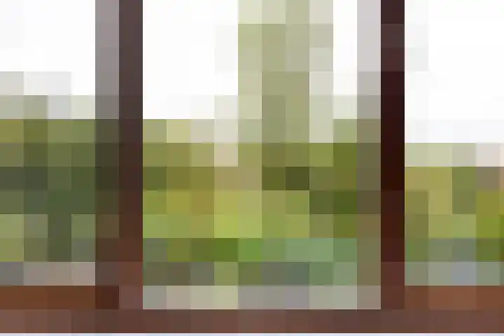 Buitenhovelaan 233 Middelburg thumbnail 36