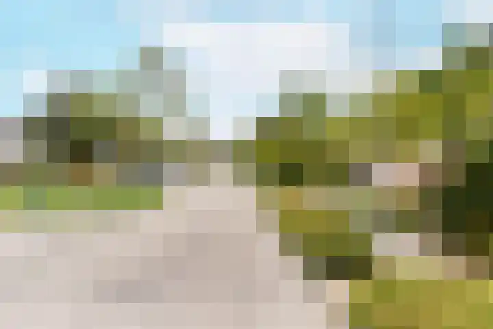 Buitenhovelaan 233 Middelburg thumbnail 4