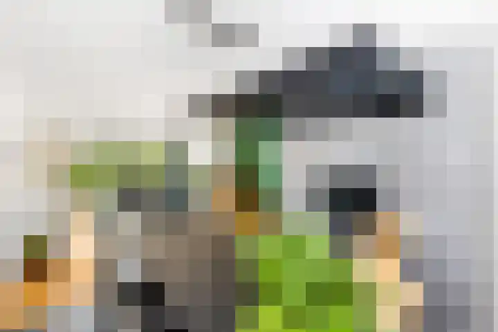 Buitenhovelaan 233 Middelburg thumbnail 8