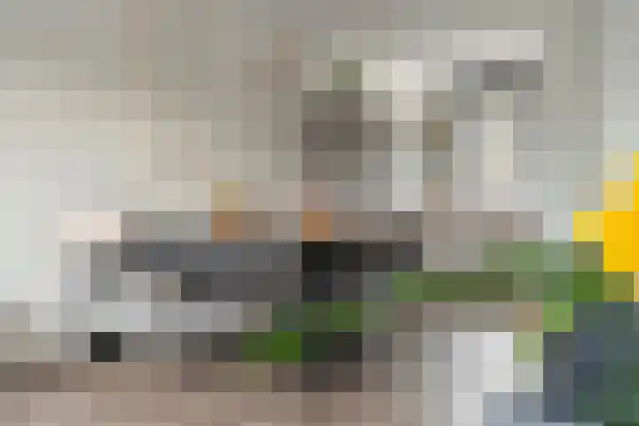 Buitenhuishof 19 Veenendaal thumbnail 14