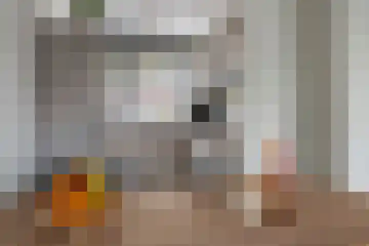 Buitenhuishof 19 Veenendaal thumbnail 15
