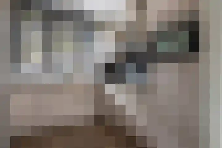 Buitenhuishof 19 Veenendaal thumbnail 17