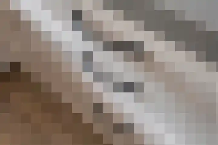 Buitenhuishof 19 Veenendaal thumbnail 18