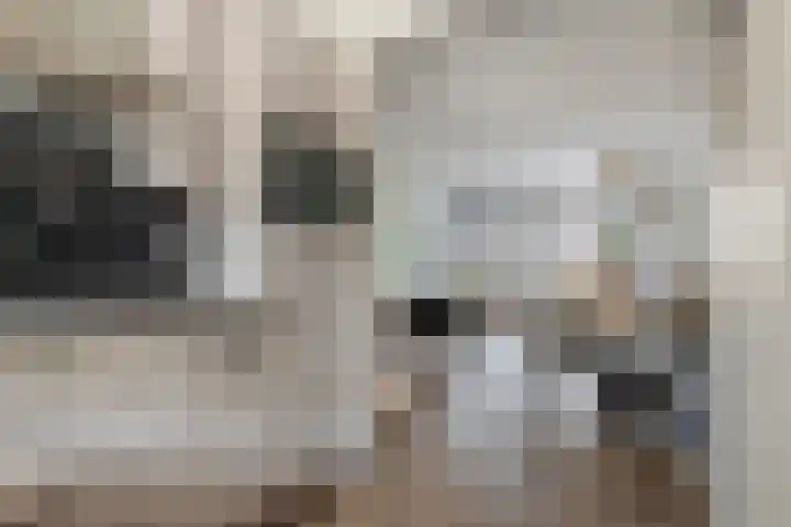 Buitenhuishof 19 Veenendaal thumbnail 20