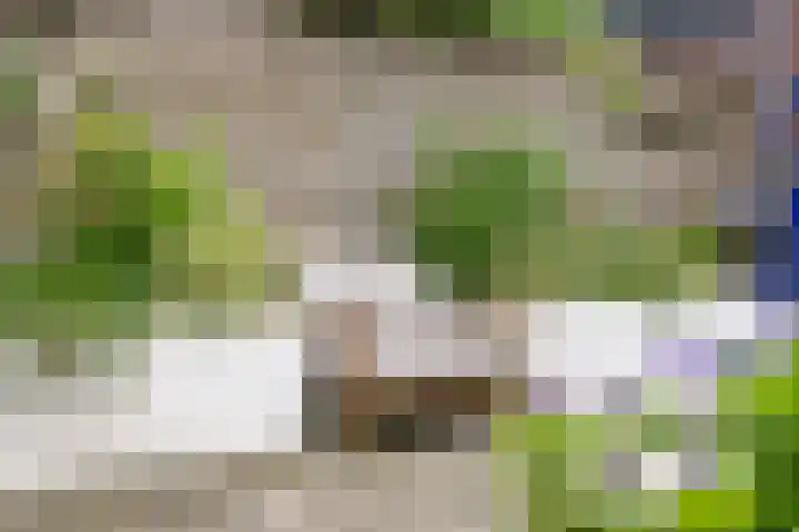 Buitenhuishof 19 Veenendaal thumbnail 23