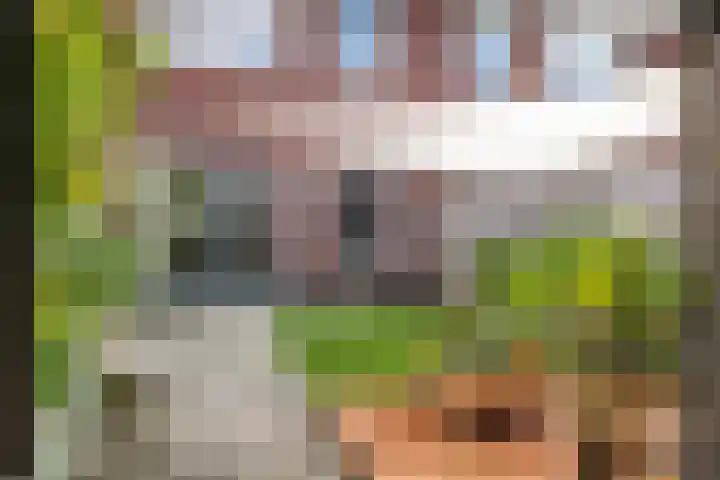Buitenhuishof 19 Veenendaal thumbnail 28