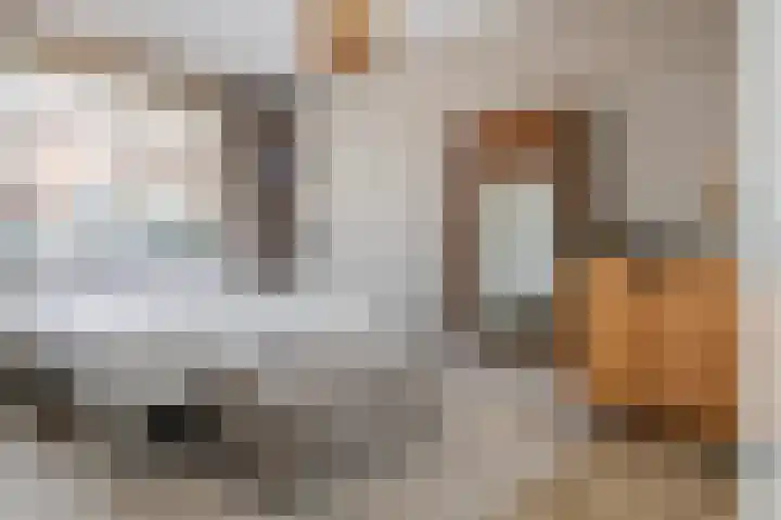 Buitenhuishof 19 Veenendaal thumbnail 35