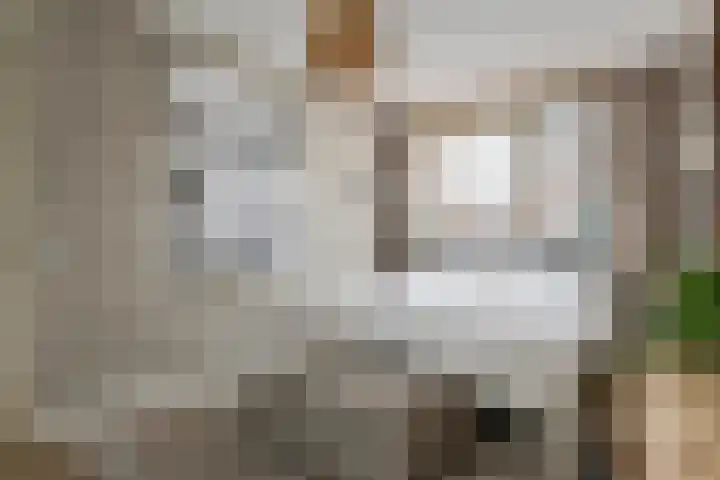 Buitenhuishof 19 Veenendaal thumbnail 36