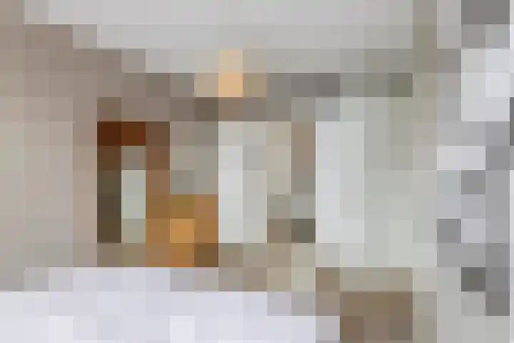 Buitenhuishof 19 Veenendaal thumbnail 37