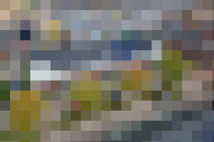 Buitenhuishof 19 Veenendaal thumbnail 4