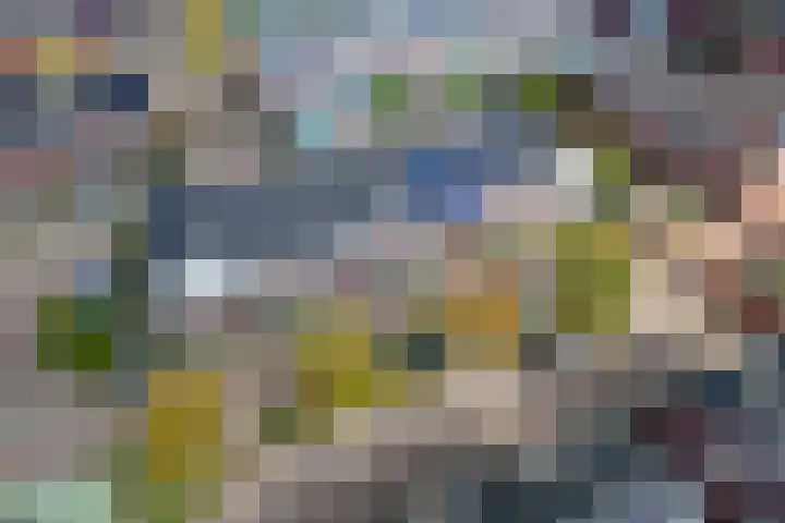 Buitenhuishof 19 Veenendaal thumbnail 49