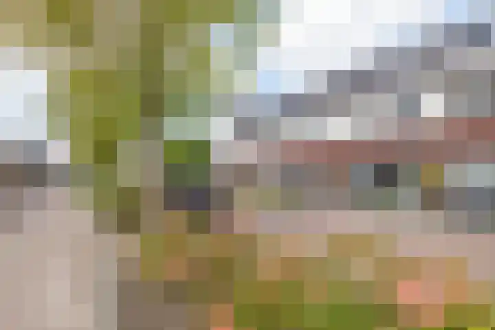 Buitenhuishof 19 Veenendaal thumbnail 5