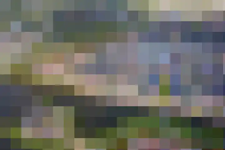 Buitenhuishof 19 Veenendaal thumbnail 50