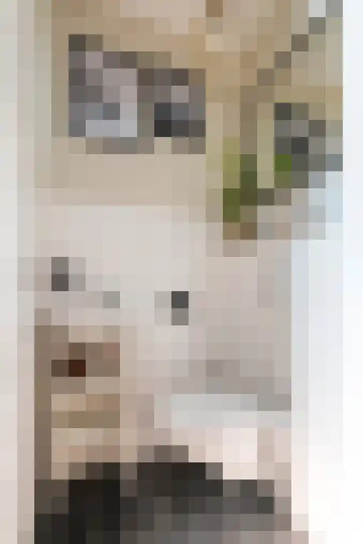 Buitenhuishof 19 Veenendaal thumbnail 8