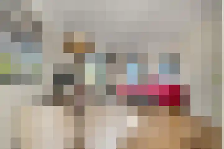 Buitenhuishof 21 Veenendaal thumbnail 13