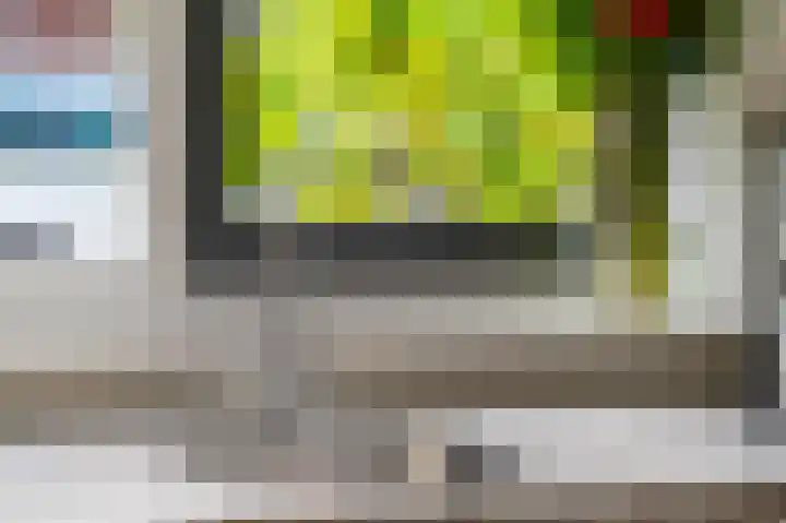 Buitenhuishof 21 Veenendaal thumbnail 19