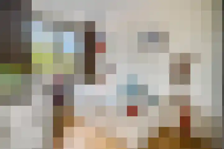 Buitenhuishof 21 Veenendaal thumbnail 22