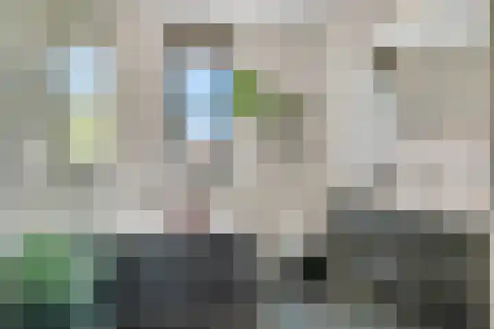 Buitenhuishof 21 Veenendaal thumbnail 26