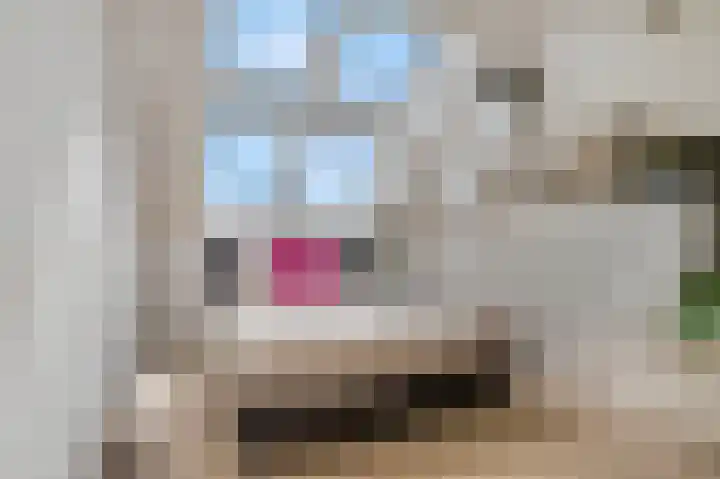 Buitenhuishof 21 Veenendaal thumbnail 31
