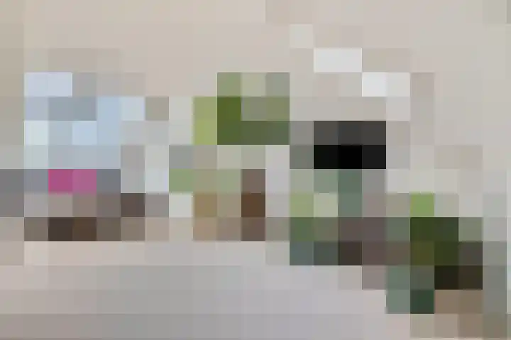 Buitenhuishof 21 Veenendaal thumbnail 32