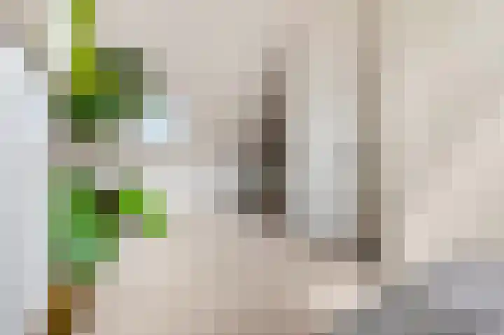 Buitenhuishof 21 Veenendaal thumbnail 34
