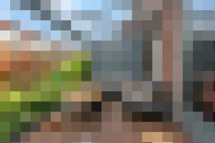 Buitenhuishof 21 Veenendaal thumbnail 37