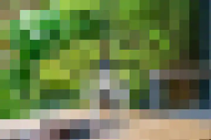 Buitenhuishof 21 Veenendaal thumbnail 38