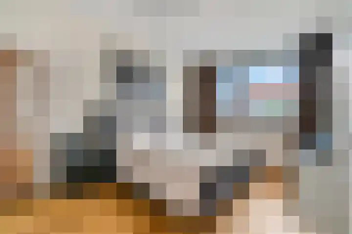 Buitenhuishof 21 Veenendaal thumbnail 4