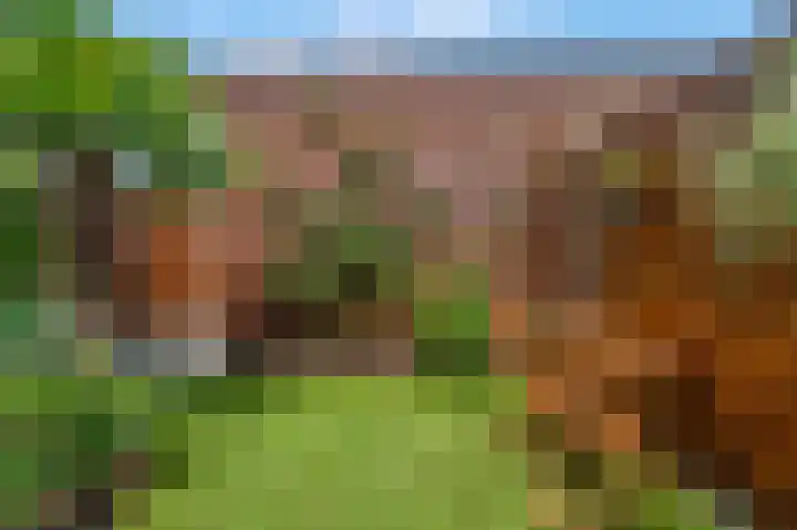Buitenhuishof 21 Veenendaal thumbnail 46