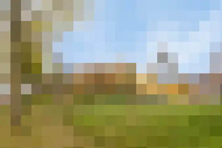 Buitenhuishof 21 Veenendaal thumbnail 59